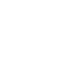 Gamesight logo