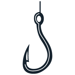 Hook Security logo