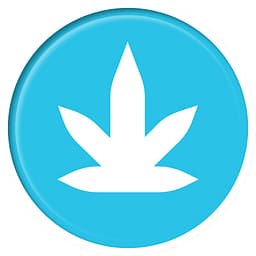 BLAZE logo